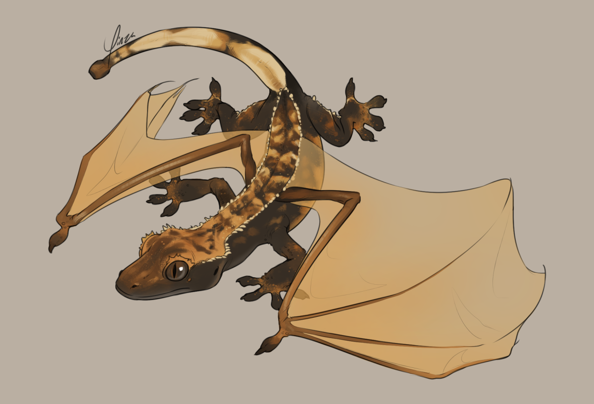Digital artwork of a small dragon based on a crested gecko, positioned like she is climbing down something. Her coloring is mostly dark brown, lighter on her back with a rough striped pattern, and pale yellow on her tail. The membranes of her wings are also paler.