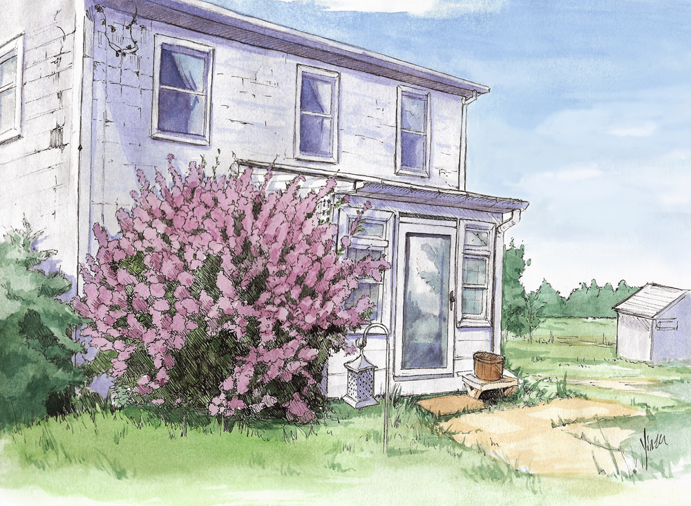 A white farm house beside a flowering lilac bush.