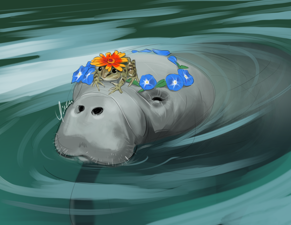 A rough digital painting of a leopard frog riding atop a manatee, whose head is breaking the surface of the water as it swims. The frog is wearing a bright red and yellow flower as a hat, while the manatee wears a crown of morning glories.