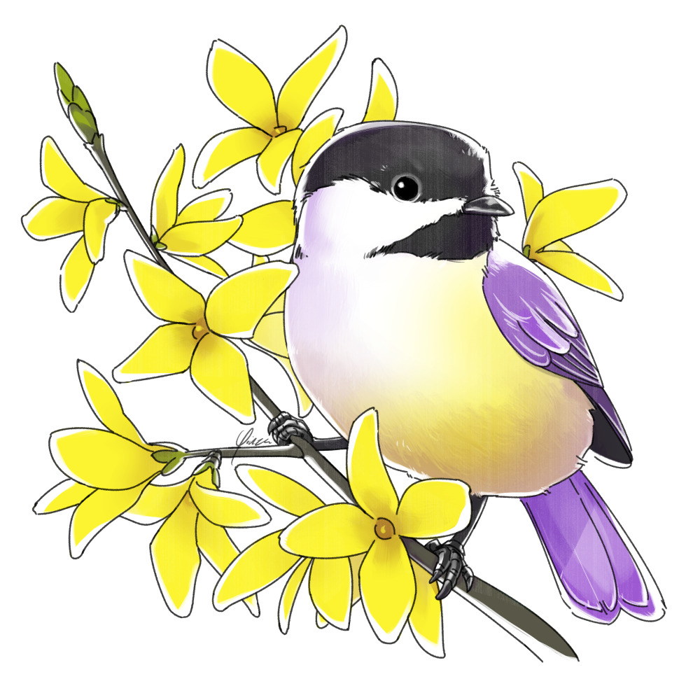 Digital artwork of a chickadee perched on a branch of flowering yellow forsythia. The chickadee has its usual black-and-white head coloring, with a white underbelly fading into yellow, but its wings and tail feathers are light purple. Its body faces the viewer, but its head is turned to the side, away from the main forsythia branch. Several more flowers bloom behind it.