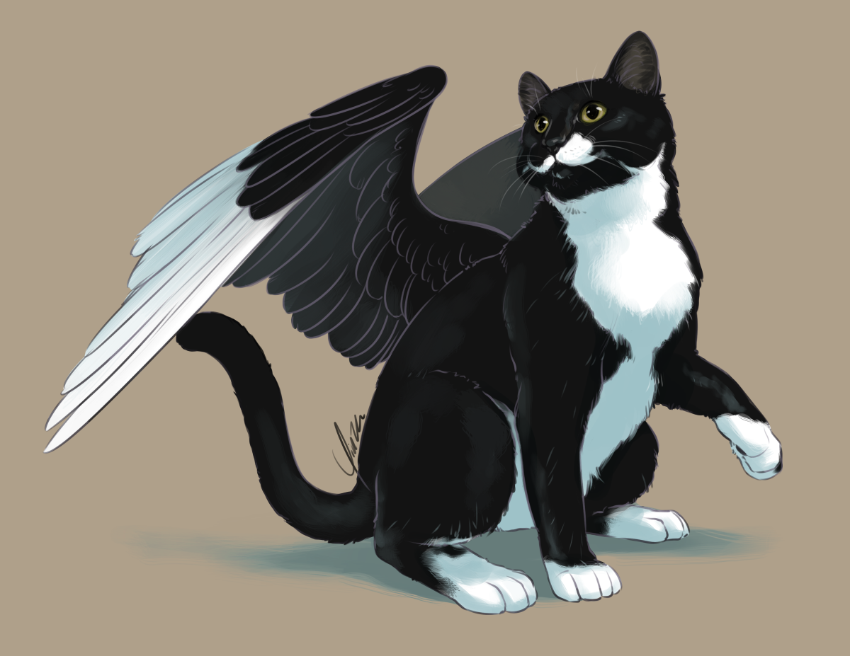 Digital artwork of a cat with feathered wings. He is mostly black with white paws and underbelly and an uneven white moustache, and white primary feathers. His eyes are yellow-green. He sits with his left forepaw halfway raised, looking up in the opposite direction with dilated pupils as if he's just spotted something interesting.