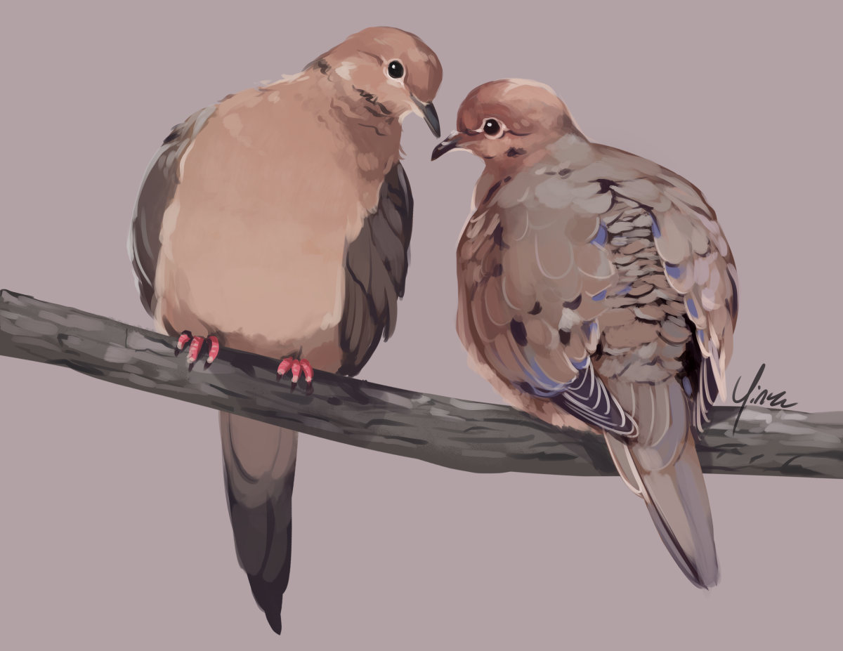 A digital painting of a pair of mourning doves sitting on a branch. They are sitting on opposite sides so that one’s breast is bared to the viewer while the other’s back is to the viewer, but their heads are turned to the side so that they lean towards each other.