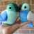 thumbnail image: gay pride plush birds