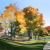 thumbnail image: autumn trees