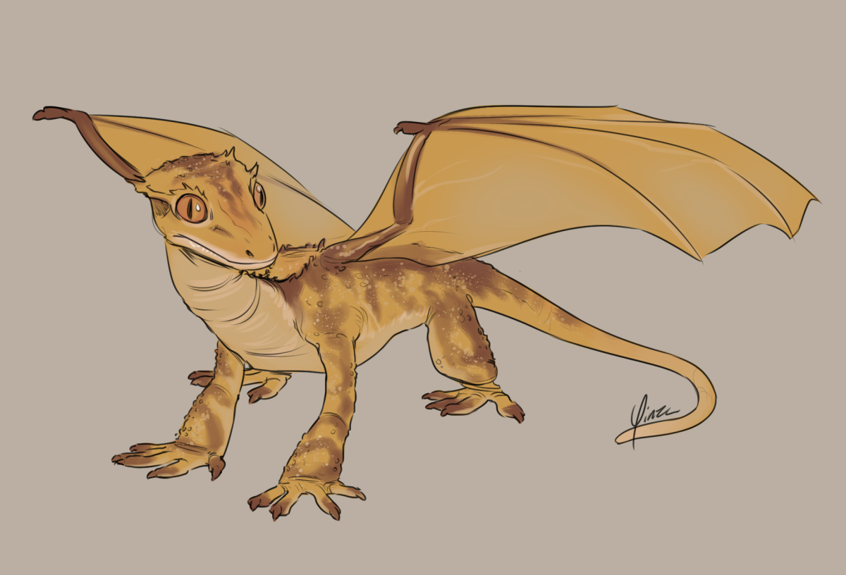 A digital sketch of a small dragon based on a gecko. It stands an all fours with its wings extended, its head up and turned to one side. It is colored gold, paler on the underbelly with darker brown stripes along its back and legs.