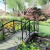 thumbnail image: sketch of a garden