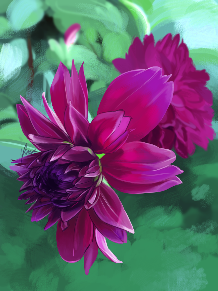 A digital painting of a large, magenta-colored aster against an indistinct background.